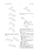 6,11-BRIDGED BIARYL MACROLIDES diagram and image