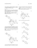 6,11-BRIDGED BIARYL MACROLIDES diagram and image