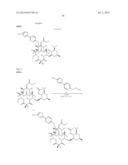 6,11-BRIDGED BIARYL MACROLIDES diagram and image