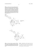 6,11-BRIDGED BIARYL MACROLIDES diagram and image