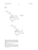 6,11-BRIDGED BIARYL MACROLIDES diagram and image