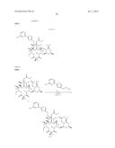 6,11-BRIDGED BIARYL MACROLIDES diagram and image