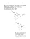 6,11-BRIDGED BIARYL MACROLIDES diagram and image