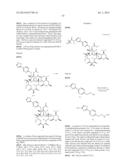 6,11-BRIDGED BIARYL MACROLIDES diagram and image