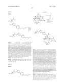 6,11-BRIDGED BIARYL MACROLIDES diagram and image