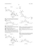 6,11-BRIDGED BIARYL MACROLIDES diagram and image