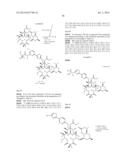 6,11-BRIDGED BIARYL MACROLIDES diagram and image