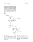 6,11-BRIDGED BIARYL MACROLIDES diagram and image