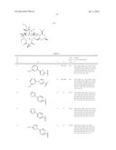 6,11-BRIDGED BIARYL MACROLIDES diagram and image