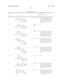 6,11-BRIDGED BIARYL MACROLIDES diagram and image