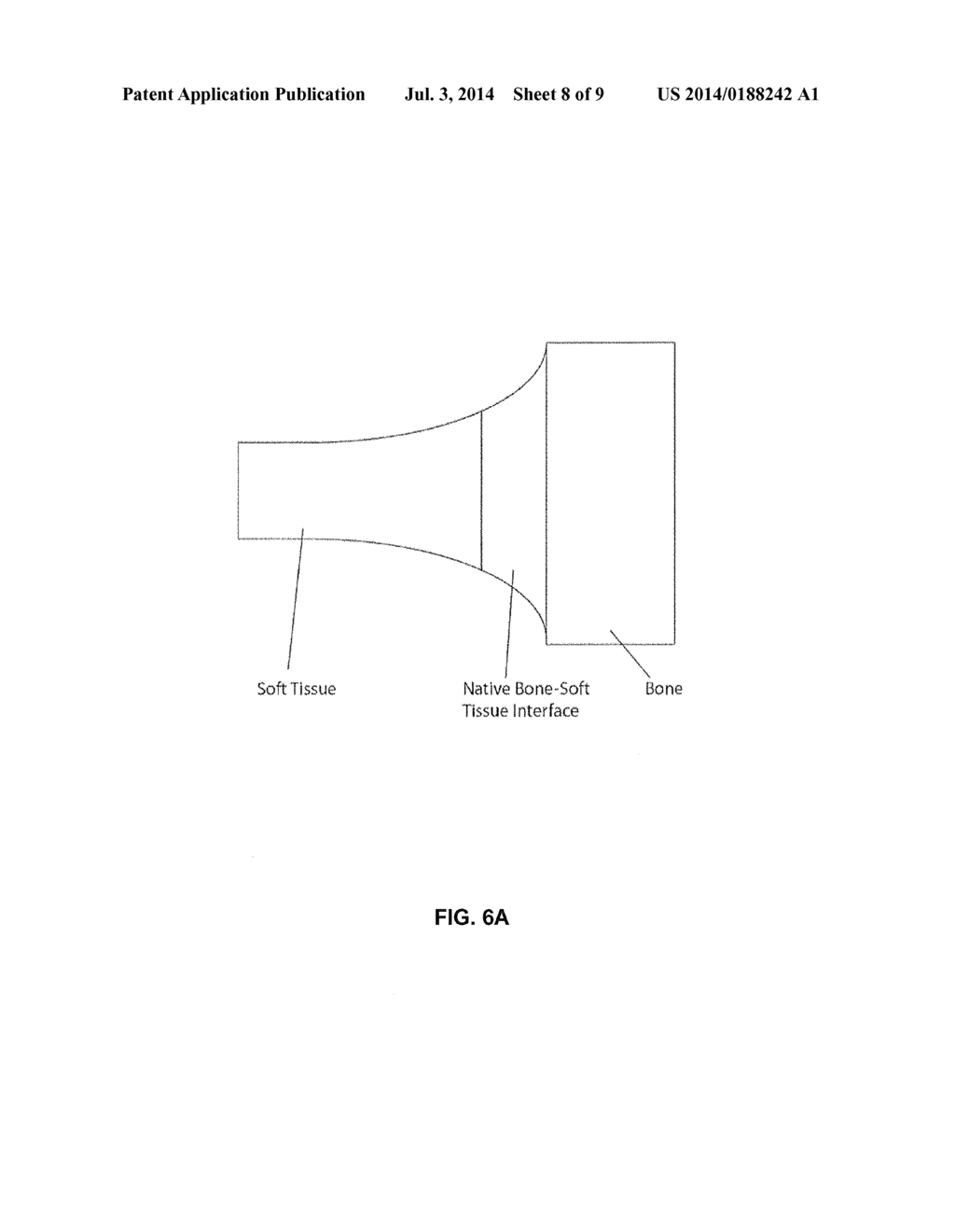 DEMINERALIZED CANCELLOUS BONE SCAFFOLDS - diagram, schematic, and image 09