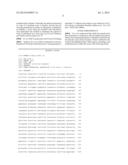 TRANSGENIC ANIMALS CAPABLE OF BEING INDUCED TO DELETE SENESCENT CELLS diagram and image