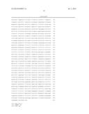 TRANSGENIC ANIMALS CAPABLE OF BEING INDUCED TO DELETE SENESCENT CELLS diagram and image