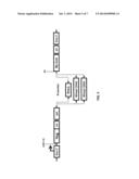 miRNA-REGULATED DIFFERENTIATION-DEPENDENT SELF-DELETING CASSETTE diagram and image