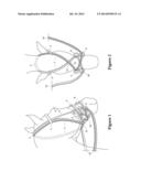 BITLESS BRIDLE WITH DOUBLE CROSS UNDER REINSTRAPS diagram and image