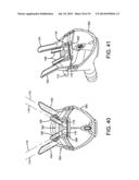 DAIRY MILKING DEVICES AND METHODS diagram and image