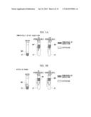 ELECTROLYSIS WATER-MAKING APPARATUS diagram and image