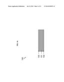 SELF-FORMED NANOMETER CHANNEL AT WAFER SCALE diagram and image