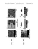 METHOD FOR PRODUCING RARE EARTH MAGNETS, AND RARE EARTH MAGNETS diagram and image