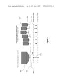 Optical Imaging Writer System diagram and image