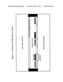 FINE PIXEL PITCH ELECTROPHORETIC DISPLAY diagram and image