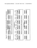 FINE PIXEL PITCH ELECTROPHORETIC DISPLAY diagram and image