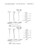 WIDE-ANGLE LENS, IMAGING APPARATUS, AND METHOD FOR MANUFACTURING     WIDE-ANGLE LENS diagram and image