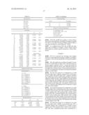 WIDE-ANGLE LENS, IMAGING APPARATUS, AND METHOD FOR MANUFACTURING     WIDE-ANGLE LENS diagram and image