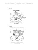 MULTI-HOMED TERMINALS diagram and image