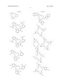 IMAGING CONTRAST AGENTS AND USES THEREOF diagram and image