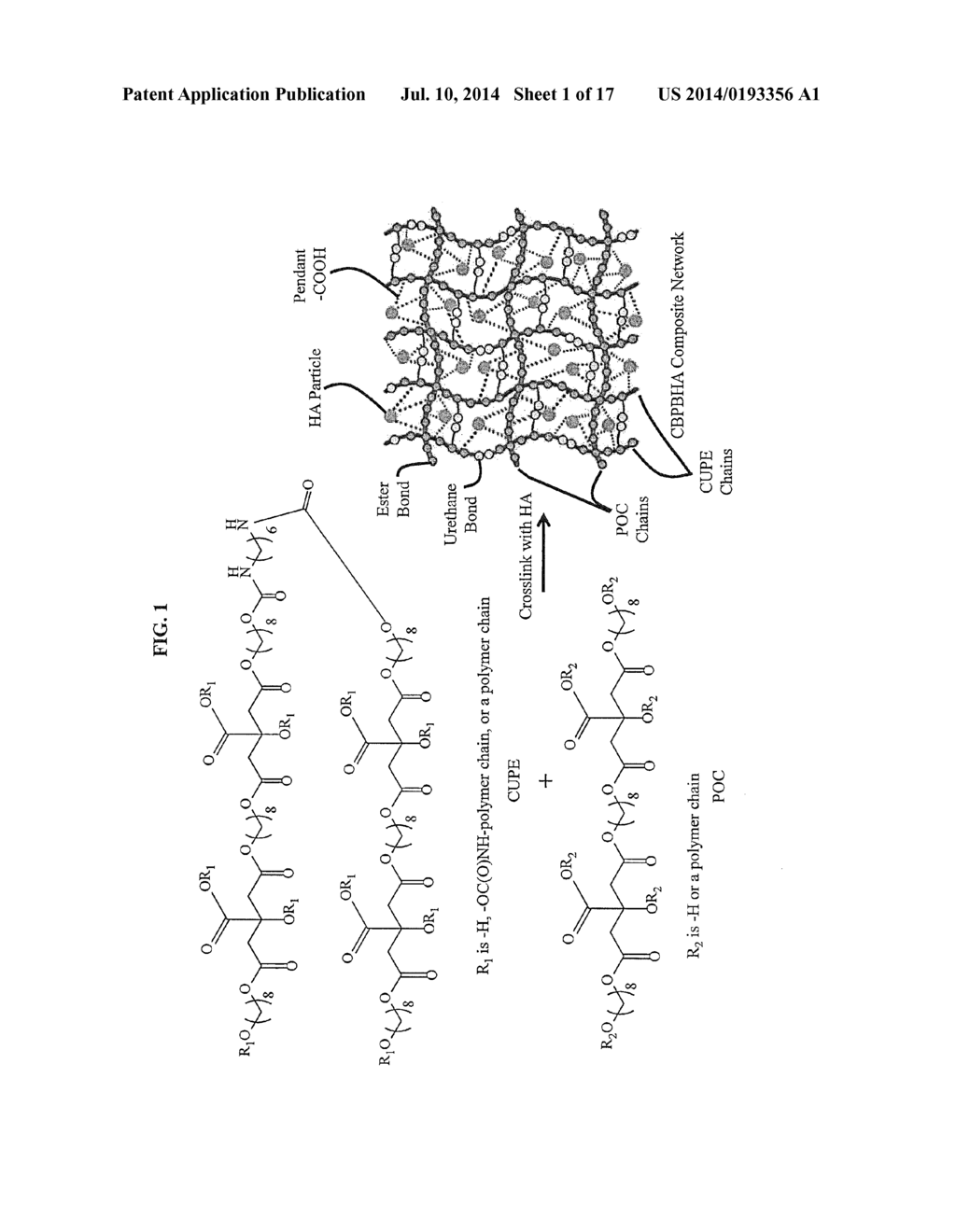 Compositions Comprising Citrate And Applications Thereof - diagram, schematic, and image 02