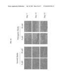 Compositions Comprising Citrate And Applications Thereof diagram and image