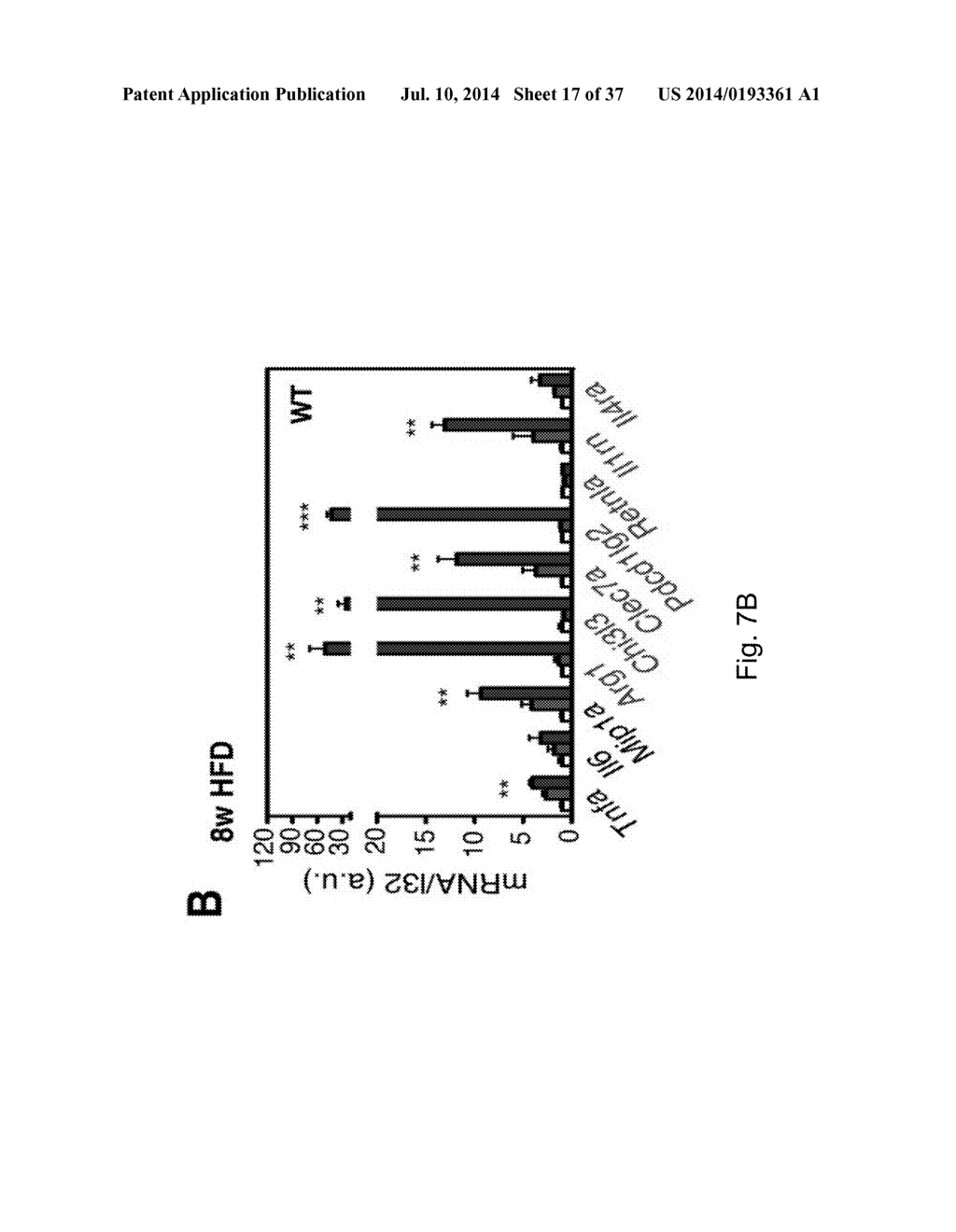 SYSTEMIC GLUCOSE TOLERANCE IN TYPE-2 DIABETES - diagram, schematic, and image 18