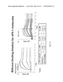 MULTIMERIC CONSTRUCTS diagram and image