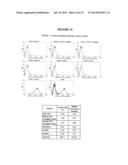 Membrane Transporter NaPi2b (SCL34A2) Epitope for Antibody Therapy,     Antibodies Directed Thereto, and Target for Cancer Therapy diagram and image