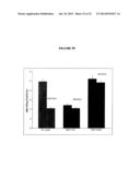 Membrane Transporter NaPi2b (SCL34A2) Epitope for Antibody Therapy,     Antibodies Directed Thereto, and Target for Cancer Therapy diagram and image