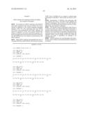 Membrane Transporter NaPi2b (SCL34A2) Epitope for Antibody Therapy,     Antibodies Directed Thereto, and Target for Cancer Therapy diagram and image