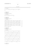 Membrane Transporter NaPi2b (SCL34A2) Epitope for Antibody Therapy,     Antibodies Directed Thereto, and Target for Cancer Therapy diagram and image