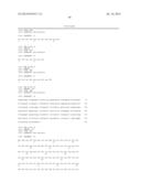 Membrane Transporter NaPi2b (SCL34A2) Epitope for Antibody Therapy,     Antibodies Directed Thereto, and Target for Cancer Therapy diagram and image