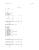 Membrane Transporter NaPi2b (SCL34A2) Epitope for Antibody Therapy,     Antibodies Directed Thereto, and Target for Cancer Therapy diagram and image