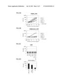 DIAGNOSIS AND TREATMENT OF CANCER USING ANTI-ITM2A ANTIBODY diagram and image