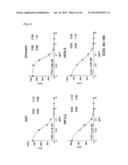 Anti-Human XCR1 Antibodies diagram and image