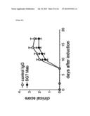 Anti-Human XCR1 Antibodies diagram and image