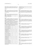 Anti-Human XCR1 Antibodies diagram and image