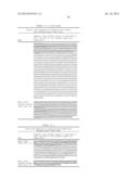 Anti-Human XCR1 Antibodies diagram and image