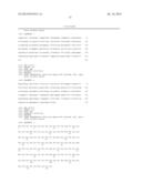 Anti-Human XCR1 Antibodies diagram and image