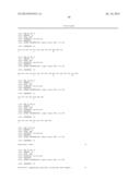 Anti-Human XCR1 Antibodies diagram and image