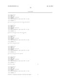 Anti-Human XCR1 Antibodies diagram and image