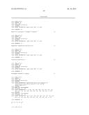 Anti-Human XCR1 Antibodies diagram and image