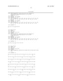 Anti-Human XCR1 Antibodies diagram and image